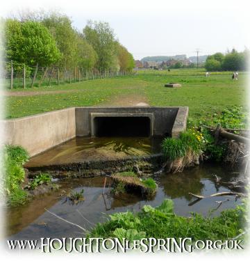 Houghton Burn exits the culvert at Burnside and joins Moors Burn