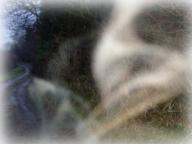 Click for a larger view